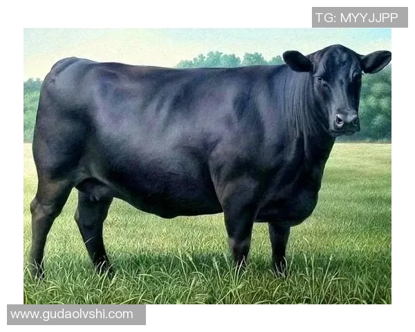 你不知道的公牛：十大冷知识大揭秘